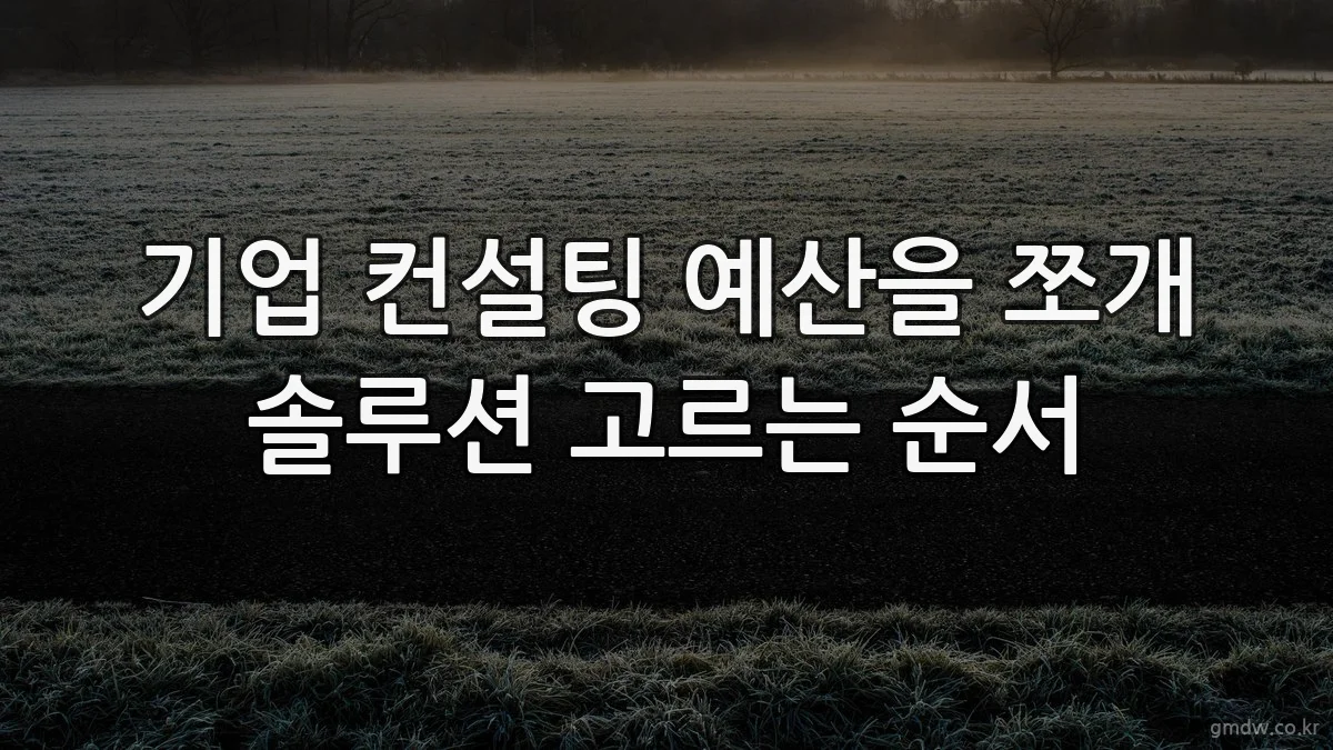 기업 컨설팅 예산을 쪼개 솔루션 고르는 순서