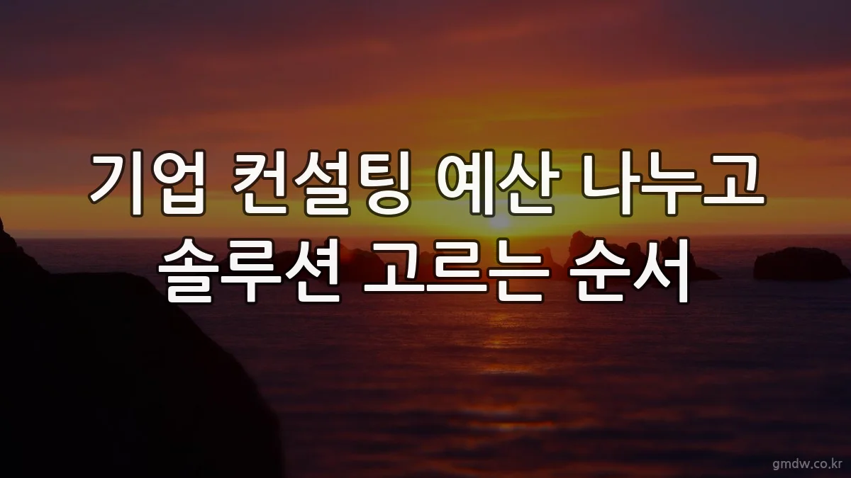 기업 컨설팅 예산 나누고 솔루션 고르는 순서