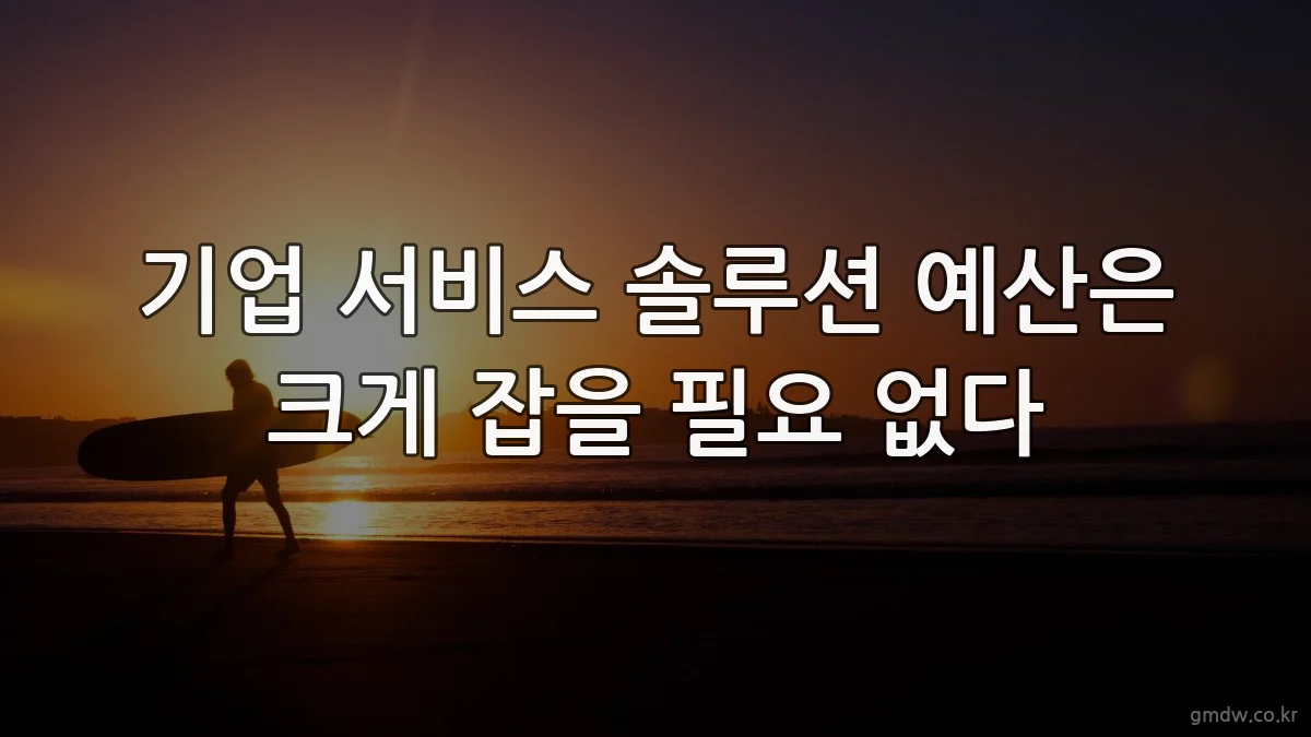 기업 서비스 솔루션 예산은 크게 잡을 필요 없다