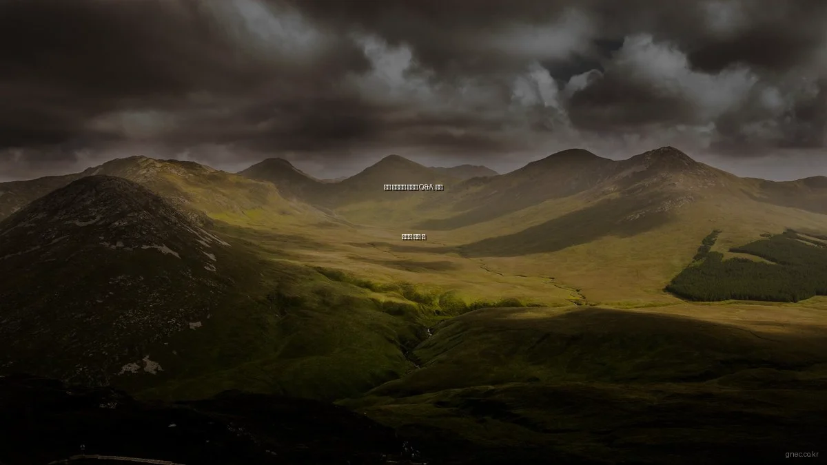 교육 협동조합 전문가 Q&A: 성공 비결의 모든 것