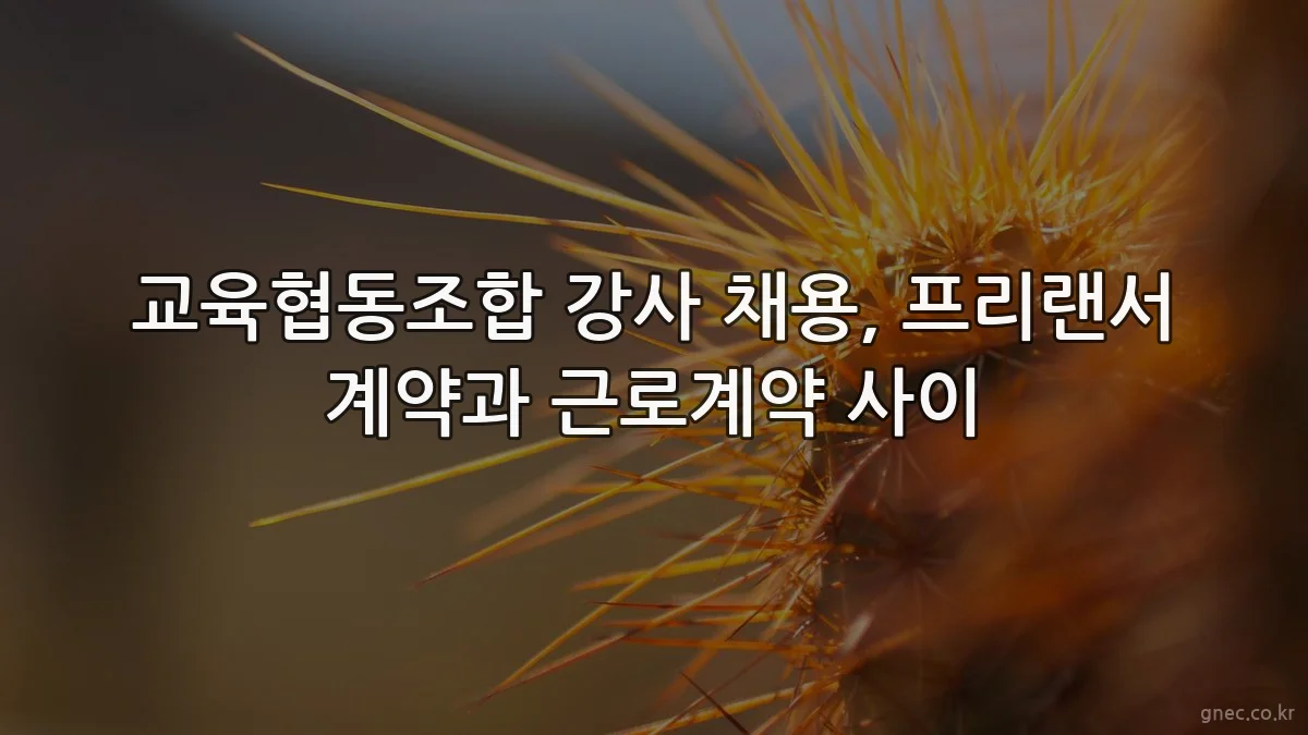 교육협동조합 강사 채용, 프리랜서 계약과 근로계약 사이