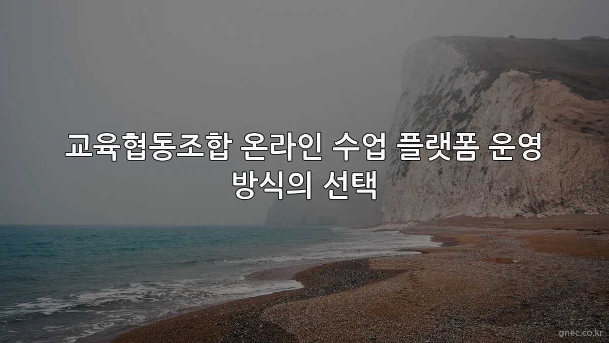 교육협동조합 온라인 수업 플랫폼 운영 방식의 선택