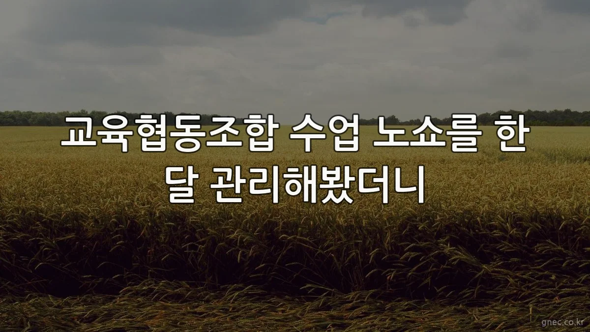 교육협동조합 수업 노쇼를 한 달 관리해봤더니