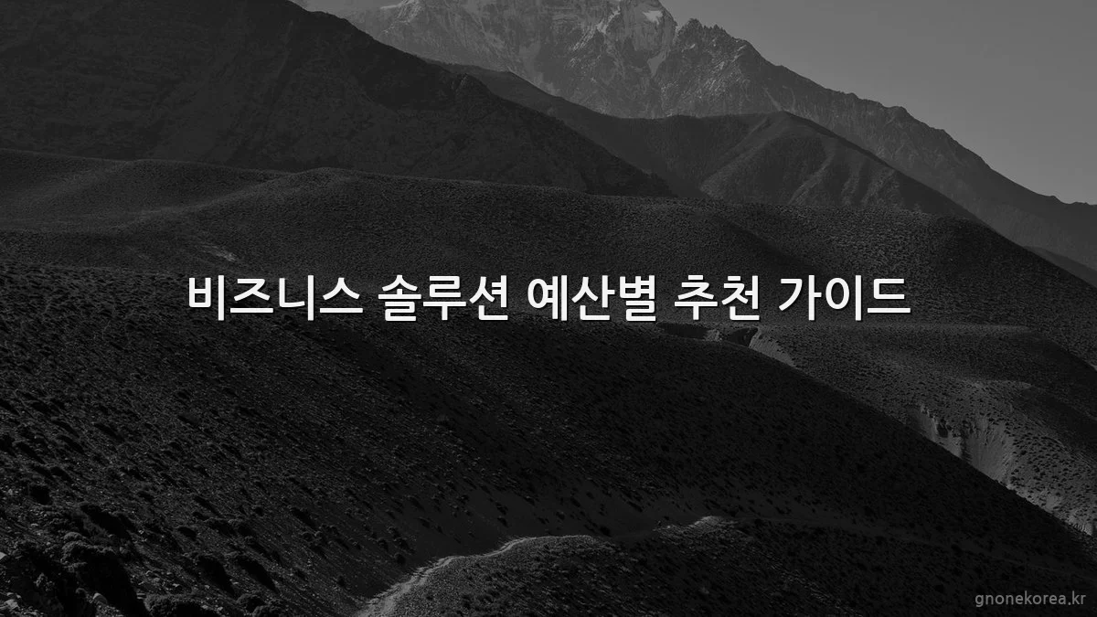 비즈니스 솔루션 예산별 추천 가이드