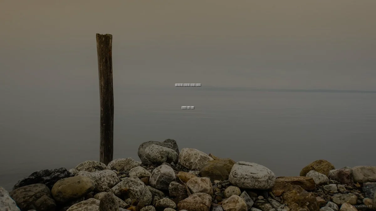 지논코리아 비즈니스 솔루션 유형별 장단점 완벽 비교