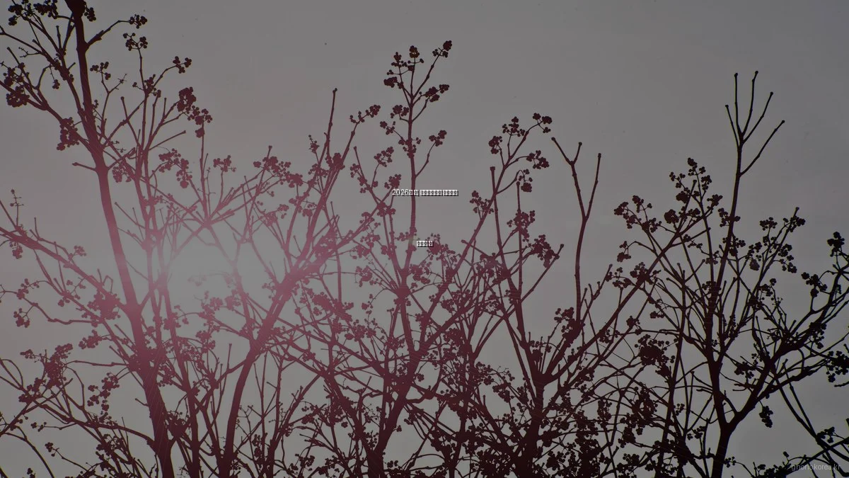 2026년 봄, 지논코리아와 비즈니스 혁신의 길