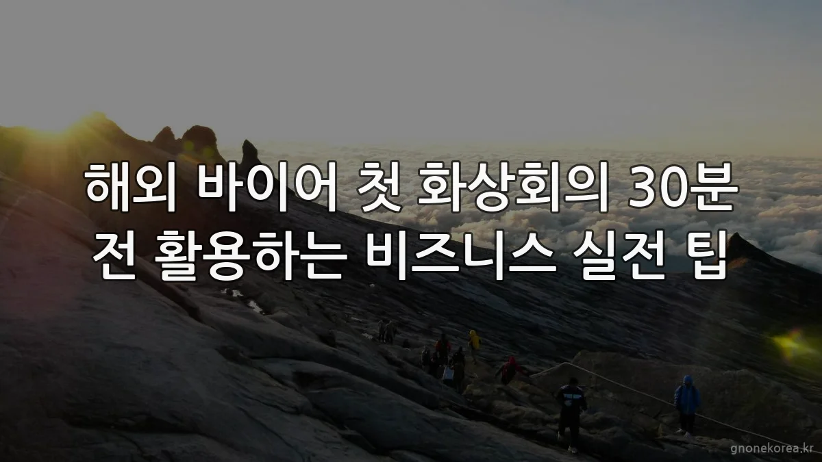 해외 바이어 첫 화상회의 30분 전 활용하는 비즈니스 실전 팁