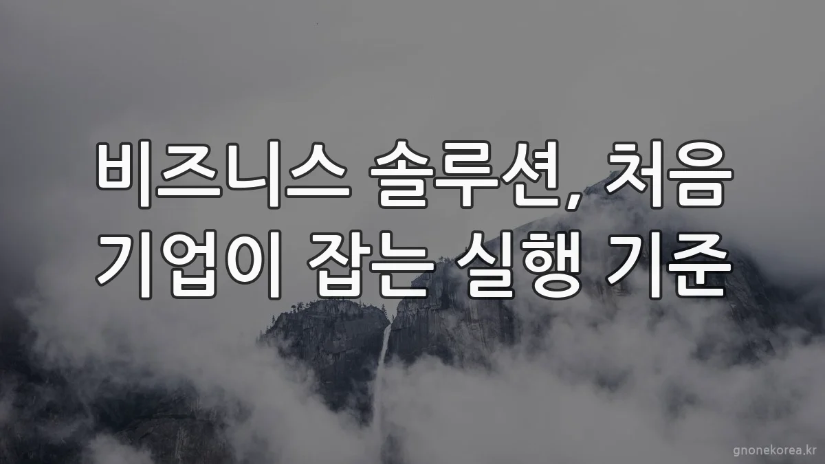 비즈니스 솔루션, 처음 기업이 잡는 실행 기준