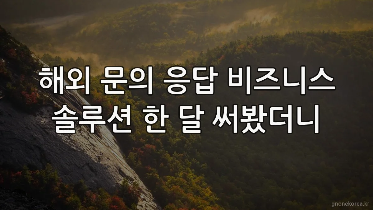 해외 문의 응답 비즈니스 솔루션 한 달 써봤더니