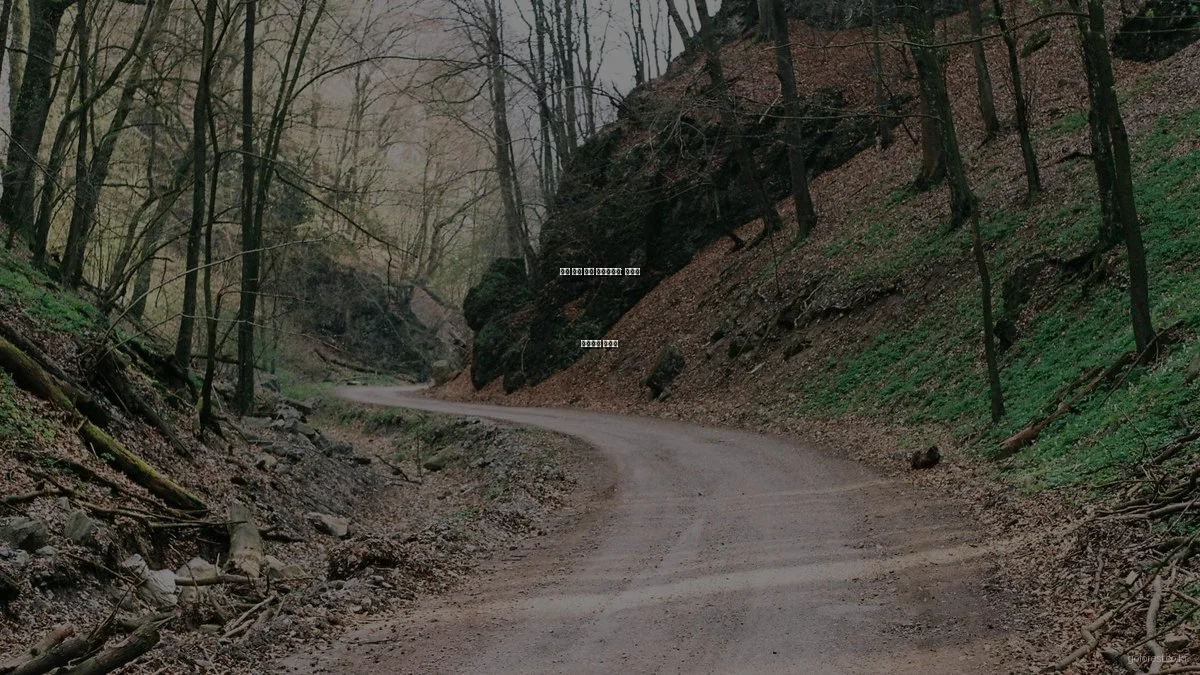 봄철 캠핑 필수 체크리스트: 자연과 함께하는 준비법