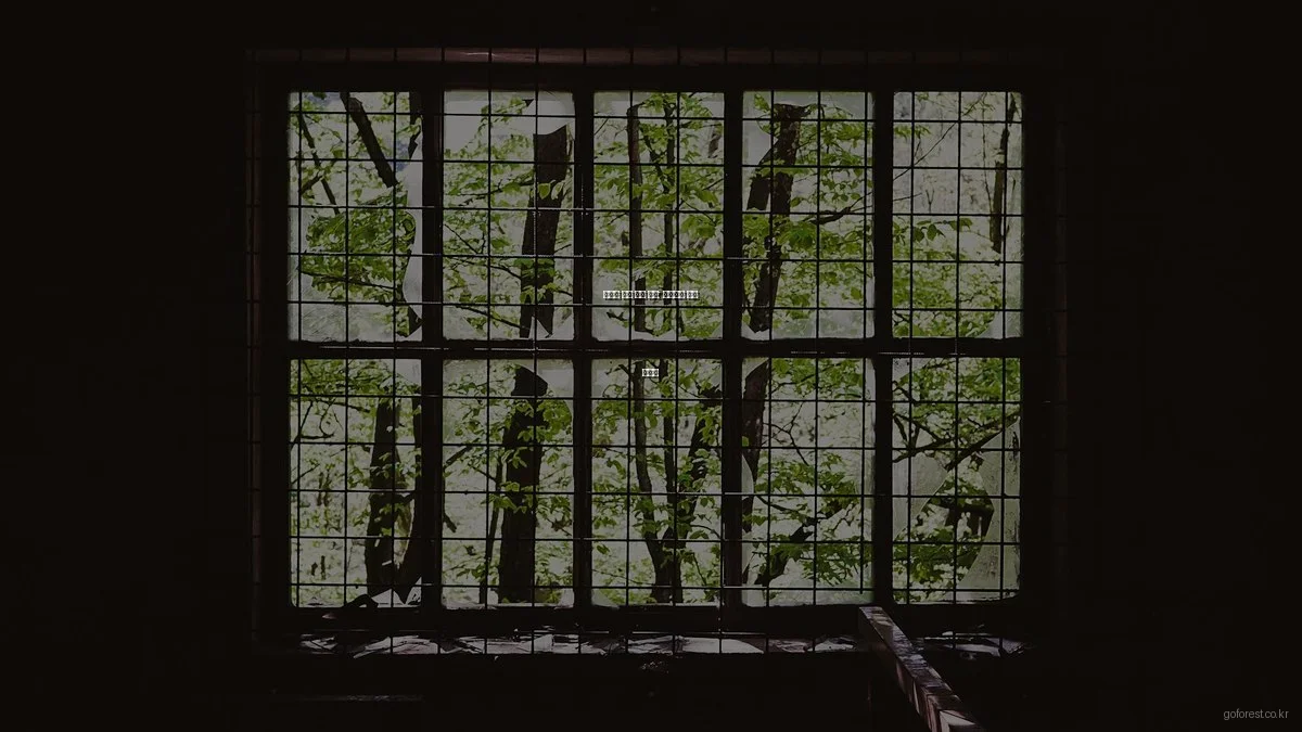 예산별 캠핑 장비 추천: 가격대별 선택 가이드