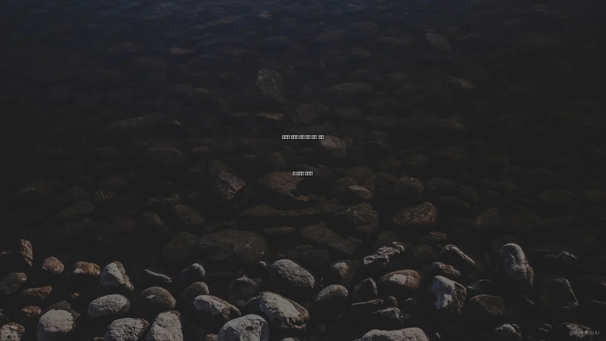 숲에서 즐기는 캠핑 꿀팁 모음: 자연 속 숨겨진 활용법