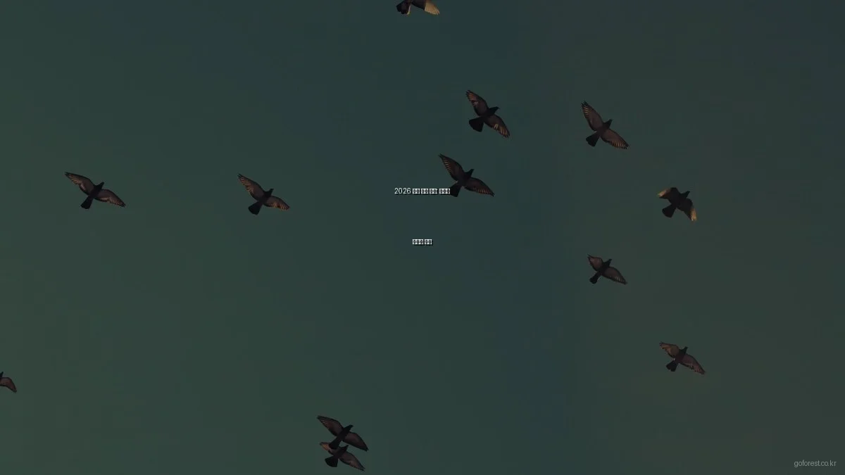 2026 캠핑 기술 혁신: 자연과 기술의 만남