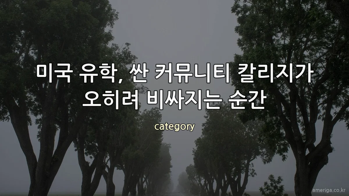 숲캠핑 의자, 비싼 릴랙스체어를 고집하지 않아도 되는 이유