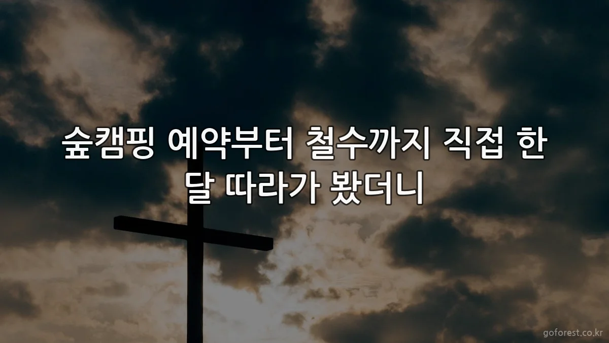 숲캠핑 예약부터 철수까지 직접 한 달 따라가 봤더니