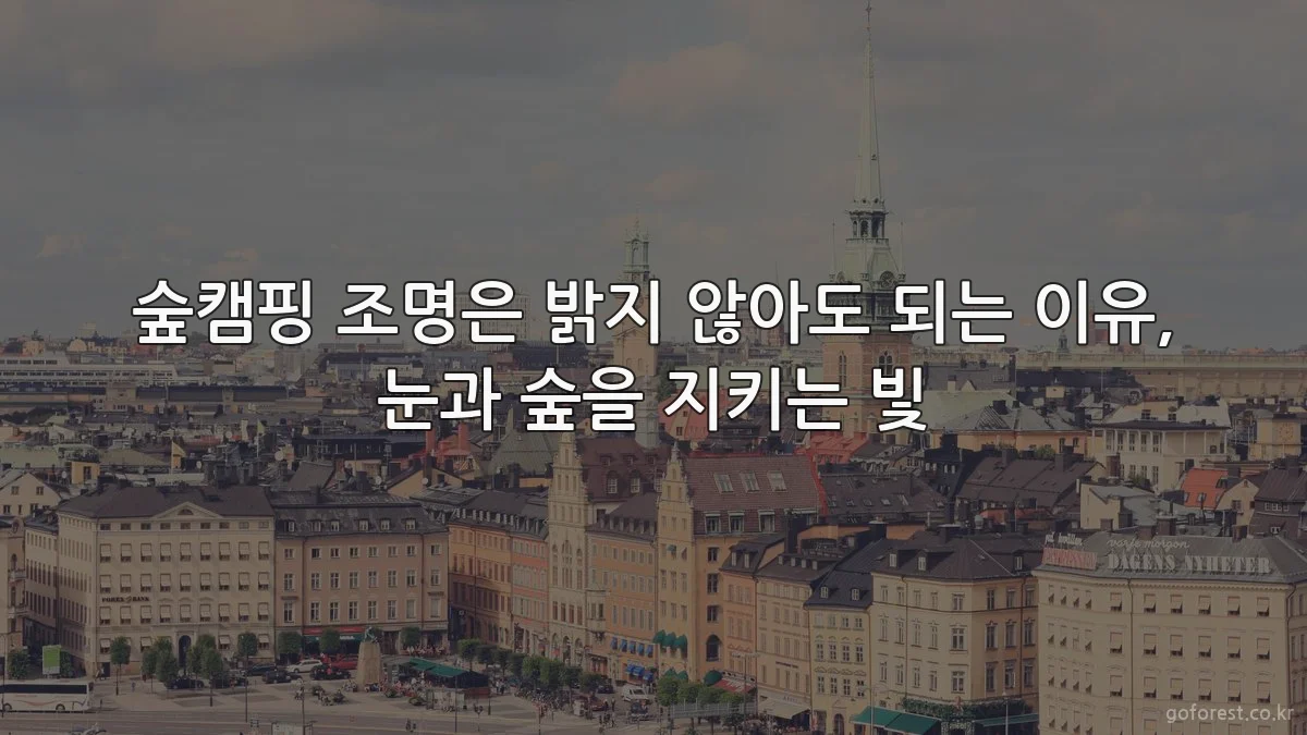 숲캠핑 조명은 밝지 않아도 되는 이유, 눈과 숲을 지키는 빛