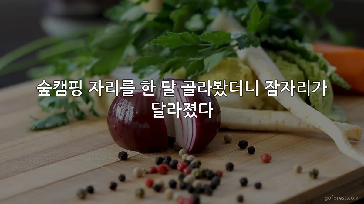 숲캠핑 자리를 한 달 골라봤더니 잠자리가 달라졌다