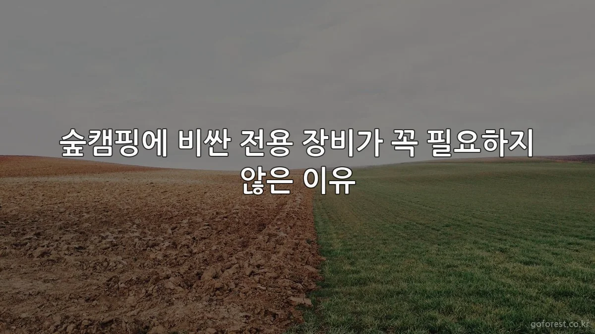 숲캠핑에 비싼 전용 장비가 꼭 필요하지 않은 이유