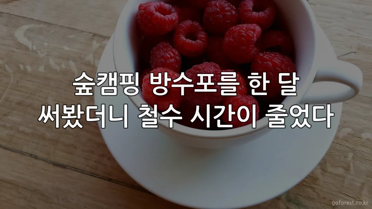 숲캠핑 방수포를 한 달 써봤더니 철수 시간이 줄었다