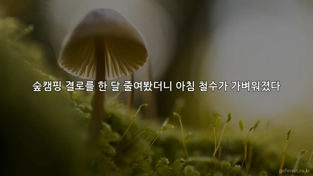 숲캠핑 결로를 한 달 줄여봤더니 아침 철수가 가벼워졌다