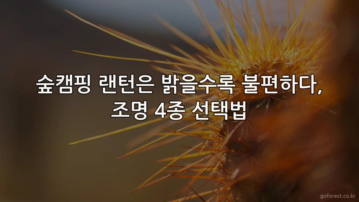 숲캠핑 랜턴은 밝을수록 불편하다, 조명 4종 선택법