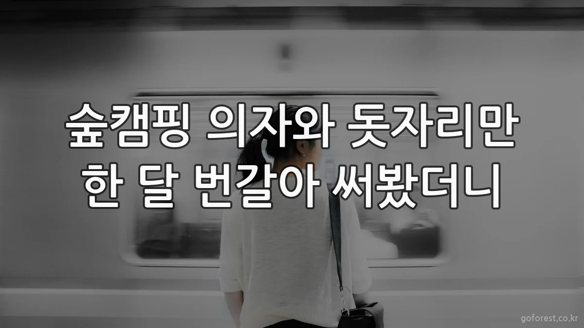 숲캠핑 의자와 돗자리만 한 달 번갈아 써봤더니