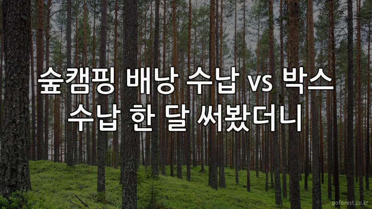 숲캠핑 배낭 수납 vs 박스 수납 한 달 써봤더니