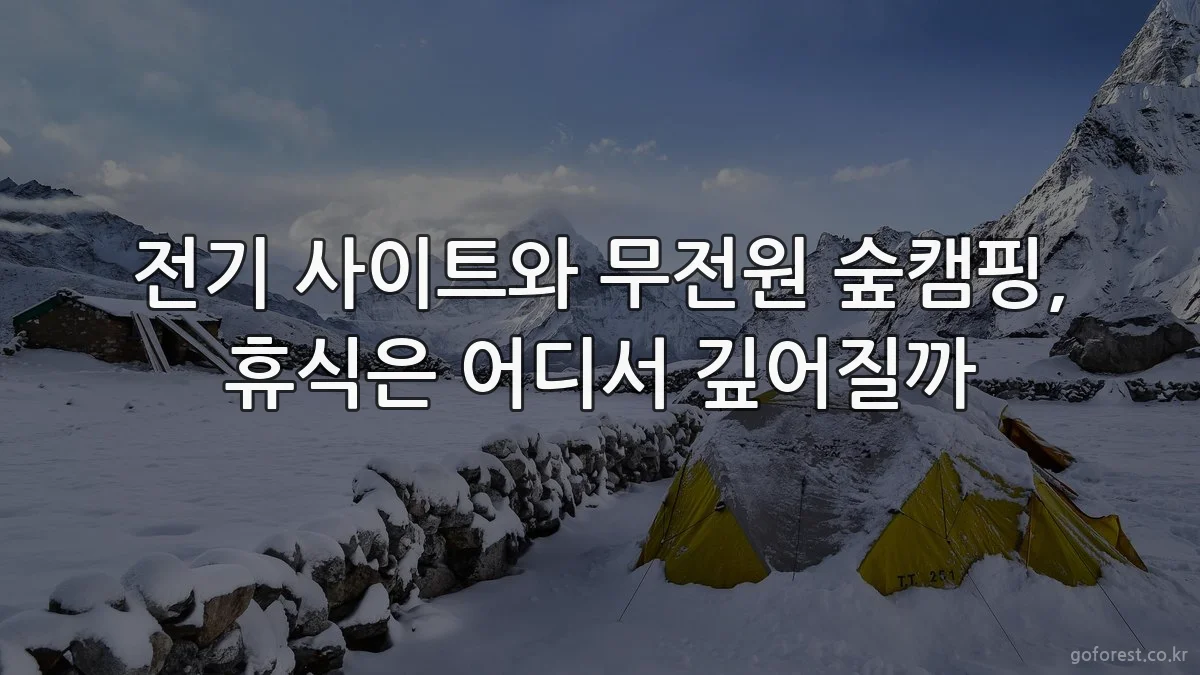전기 사이트와 무전원 숲캠핑, 휴식은 어디서 깊어질까