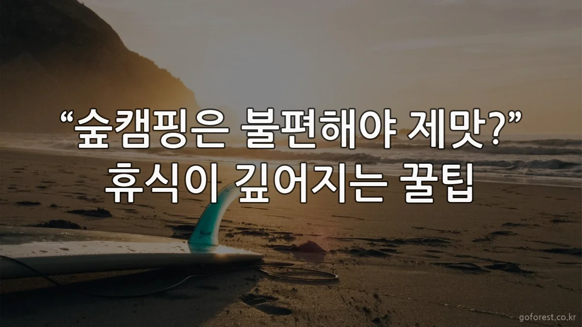 “숲캠핑은 불편해야 제맛?” 휴식이 깊어지는 꿀팁