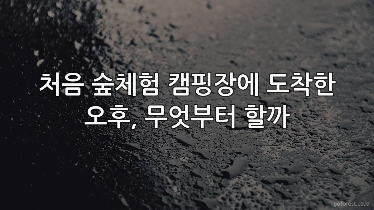처음 숲체험 캠핑장에 도착한 오후, 무엇부터 할까