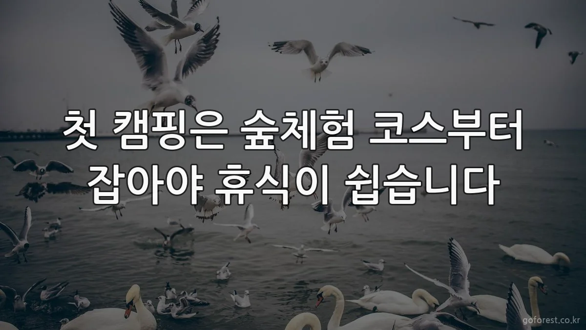 첫 캠핑은 숲체험 코스부터 잡아야 휴식이 쉽습니다