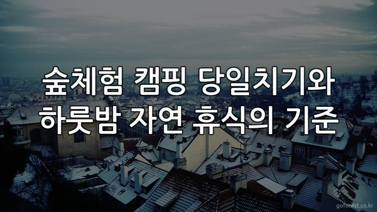 숲체험 캠핑 당일치기와 하룻밤 자연 휴식의 기준