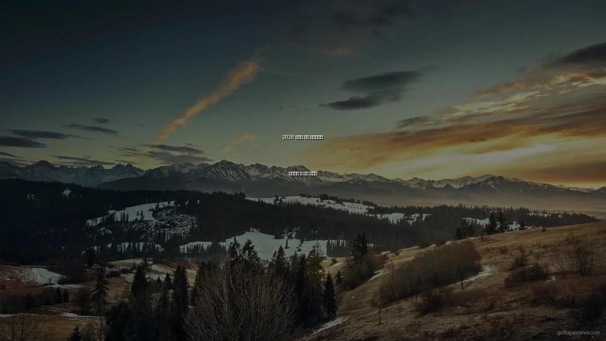 2026 글로벌 뉴스 체크리스트: 확인해야 할 필수 포인트