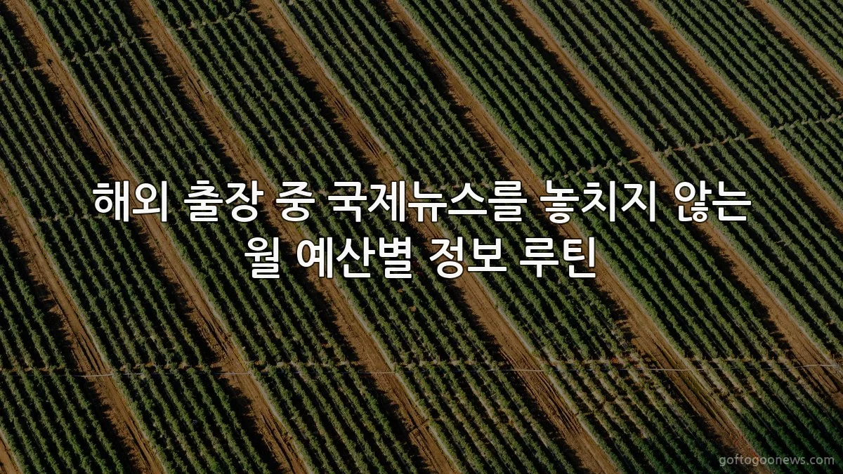 해외 출장 중 국제뉴스를 놓치지 않는 월 예산별 정보 루틴