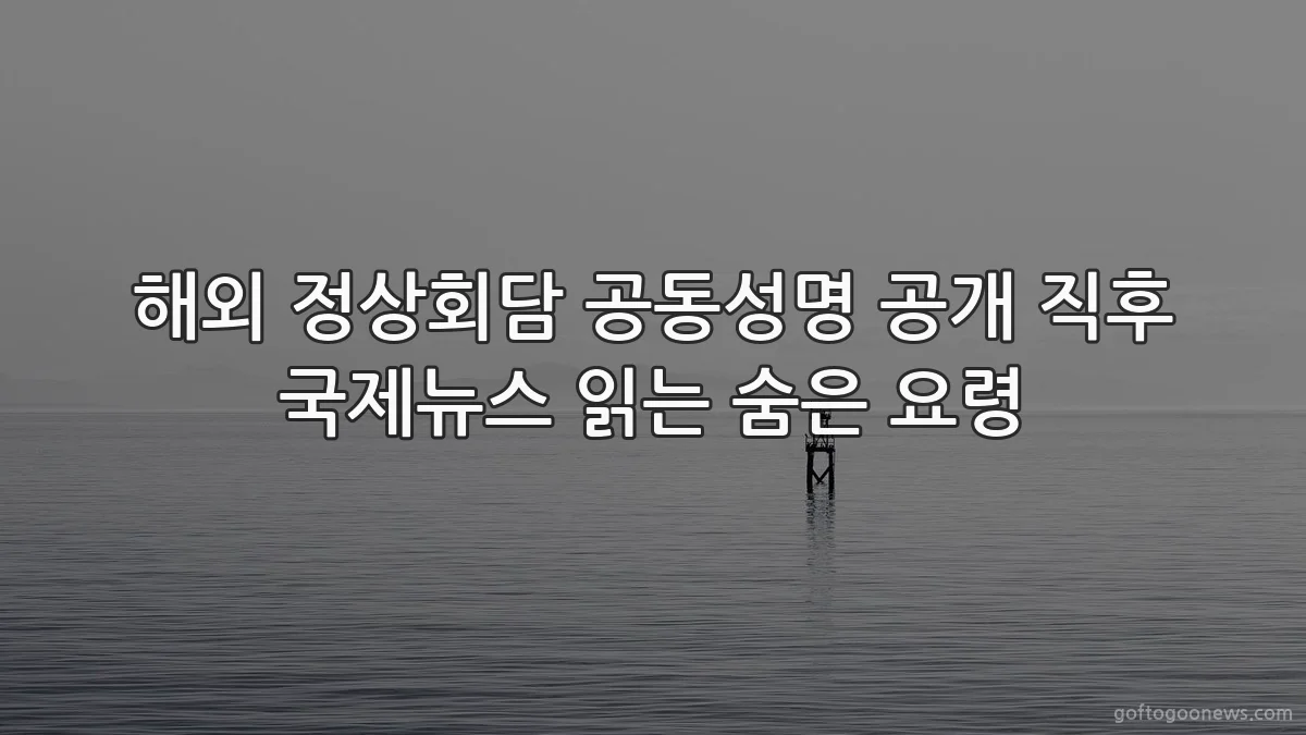 해외 정상회담 공동성명 공개 직후 국제뉴스 읽는 숨은 요령