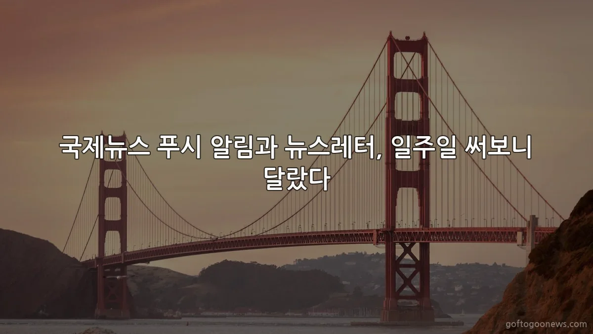 국제뉴스 푸시 알림과 뉴스레터, 일주일 써보니 달랐다