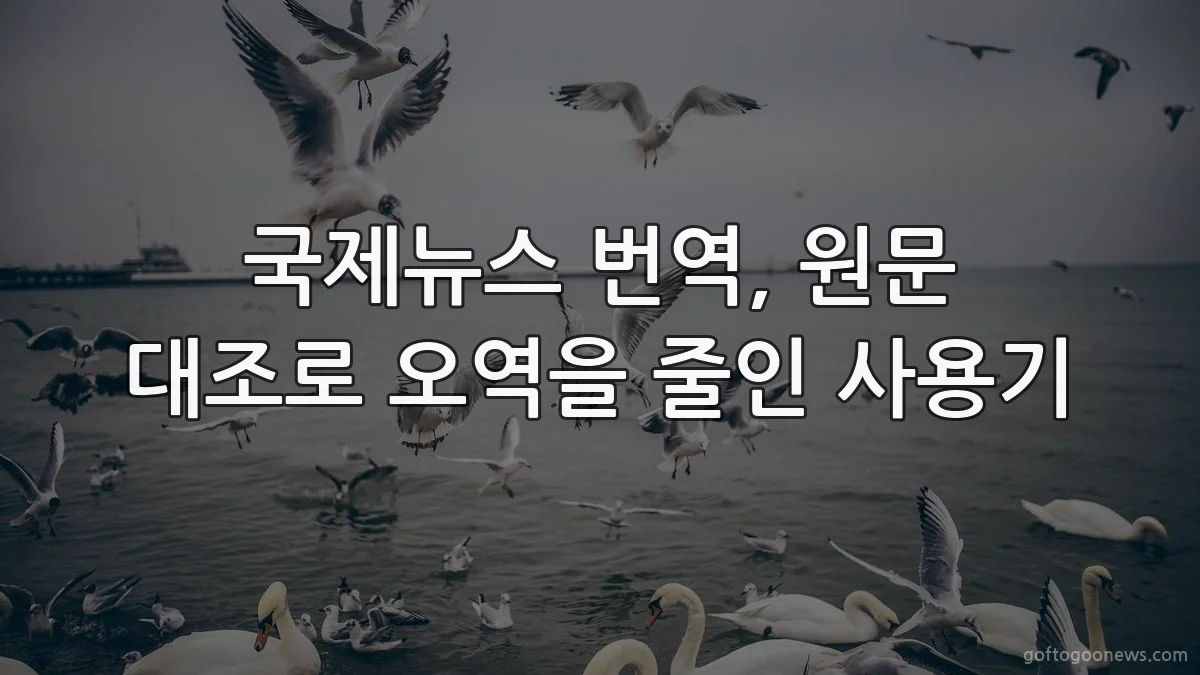 국제뉴스 번역, 원문 대조로 오역을 줄인 사용기