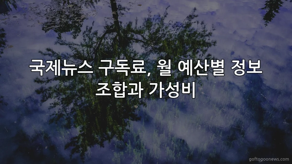 국제뉴스 구독료, 월 예산별 정보 조합과 가성비