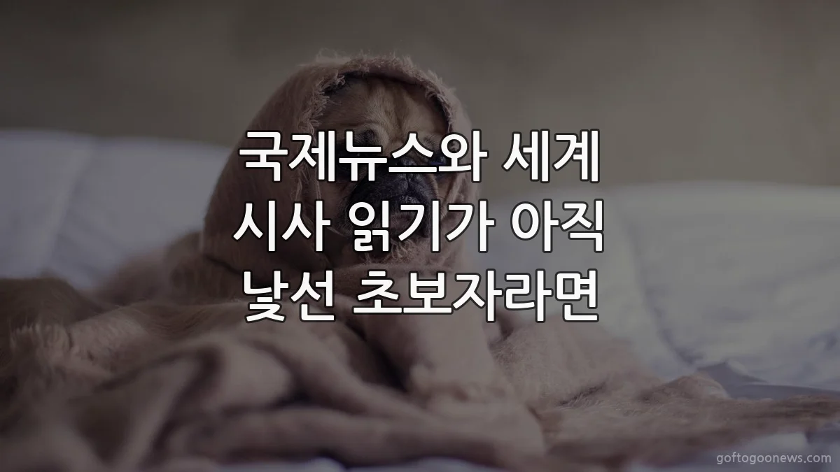 국제뉴스와 세계 시사 읽기가 아직 낯선 초보자라면