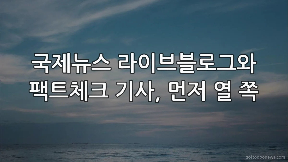 국제뉴스 라이브블로그와 팩트체크 기사, 먼저 열 쪽