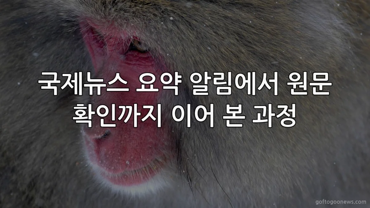 국제뉴스 요약 알림에서 원문 확인까지 이어 본 과정