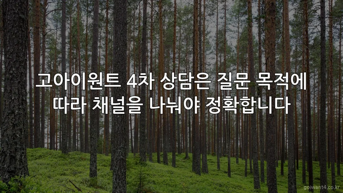 고아이원트 4차 상담은 질문 목적에 따라 채널을 나눠야 정확합니다