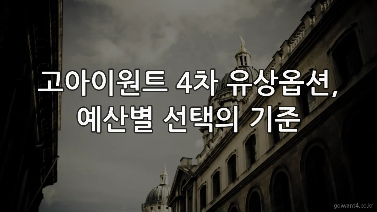 고아이원트 4차 유상옵션, 예산별 선택의 기준