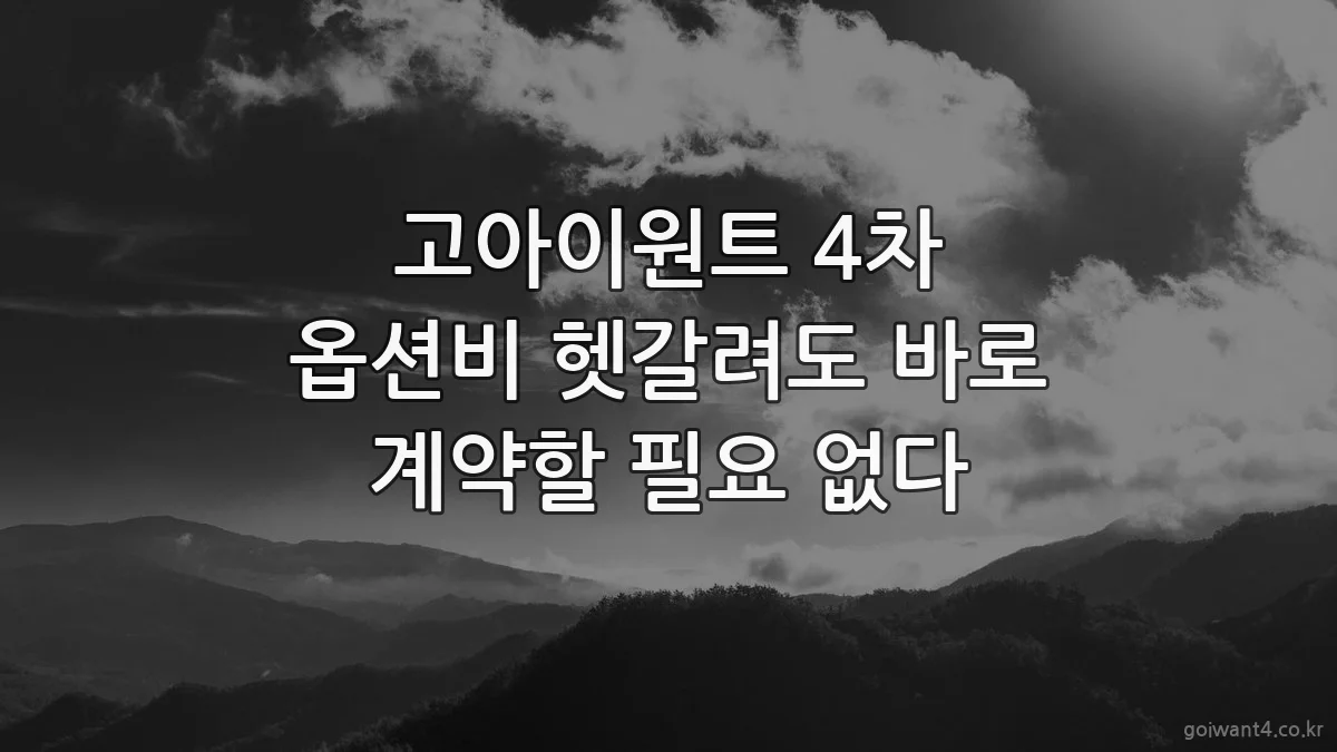 고아이원트 4차 옵션비 헷갈려도 바로 계약할 필요 없다