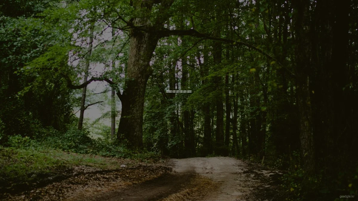 초보자를 위한 정보 검색 완벽 가이드