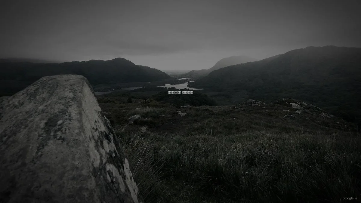 트렌디한 생활 정보 검색 체크리스트