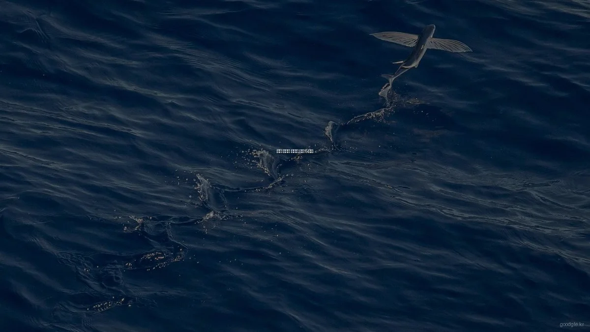 굿글 활용도 높이는 비법 5가지