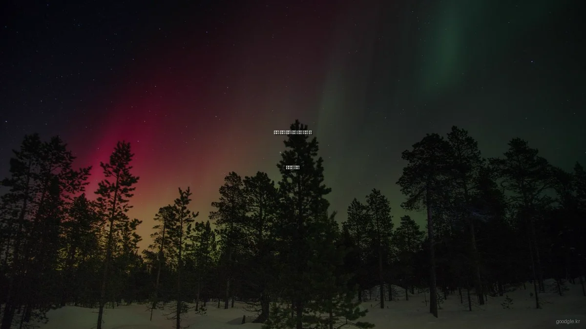 최신 정보 검색 엔진 비교 분석 및 상황별 추천