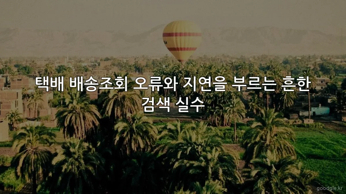 택배 배송조회 오류와 지연을 부르는 흔한 검색 실수