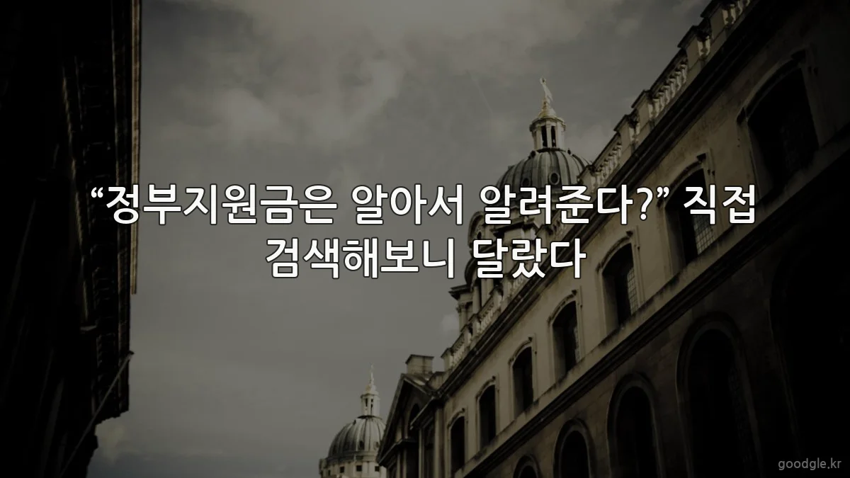 “정부지원금은 알아서 알려준다?” 직접 검색해보니 달랐다